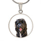 pet portrait necklace