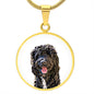 pet portrait necklace